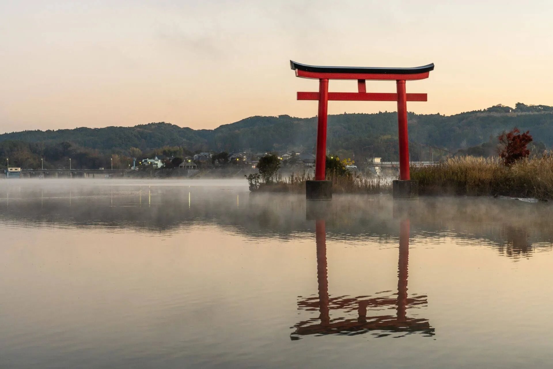 ⛩️ 거북산 신사(가메야마 진자) 이미지 6